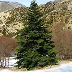 לינה וארוחת בוקר La Terrazza Sulle Madonie Calcarelli